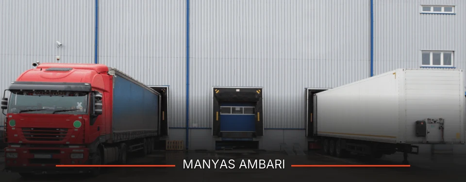 Manyas Ambarı